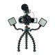 Joby Gorillapod Rig
